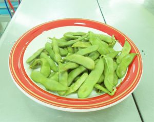 DSCN4587.jpg-2