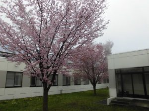 CIMG2920