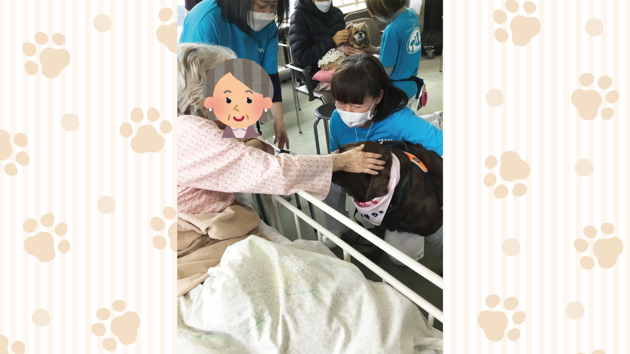 犬の画像1